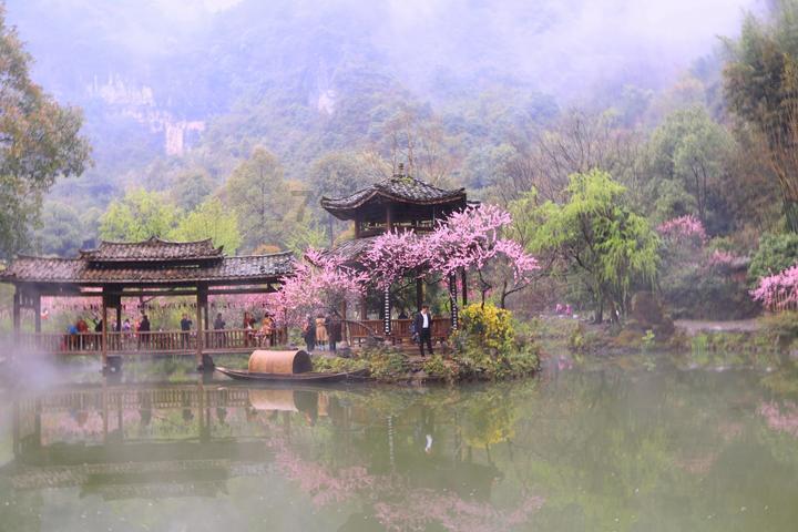 救援选美皇后